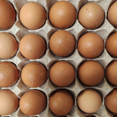 Screen Shot 2025 08 29 at 1.05.40 PM